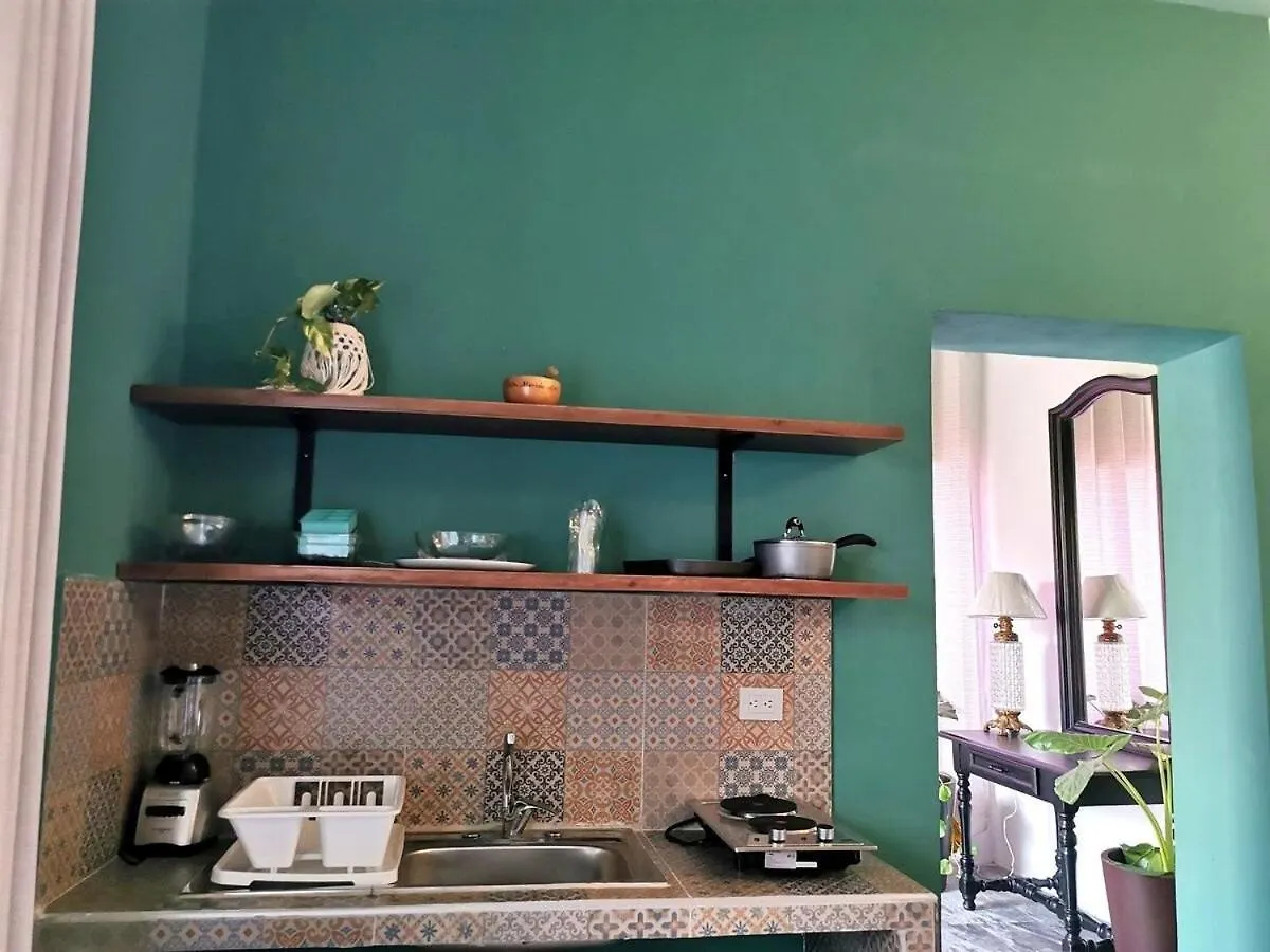 Green Loft Paseo Montejo 梅里达
